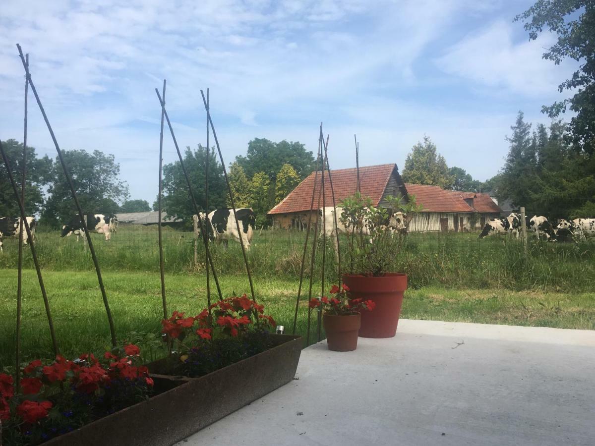 Le Clos Charmaine Auquemesnil Exteriör bild